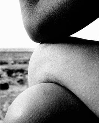 A Brief History of Tallow